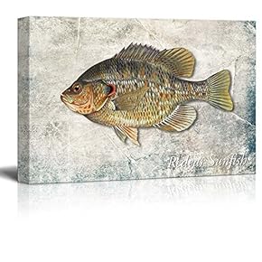 Green Redear Sunfish Illustration on a Textured Background