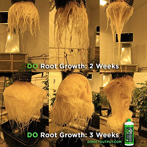 Dissolved Oxygen for Hydroponics and Soil Gardens, Natural Growth Stimulator for Healthy Roots, One Step Rooting Nutrients Solution for Your Hydro Farm, Use for Clipping Starter Clone, Cloner Supplies