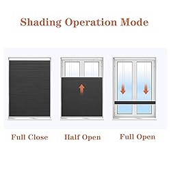 Boolegon Top Down Bottom Up Cellular Shades for