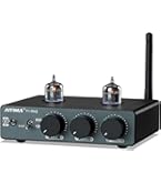 Amazon.com: AIYIMA T20 Fully Balanced Tube Preamp for Home Audio