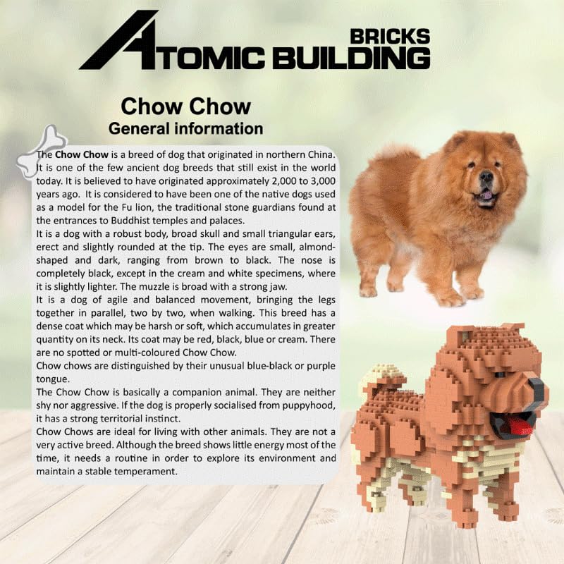 View 6