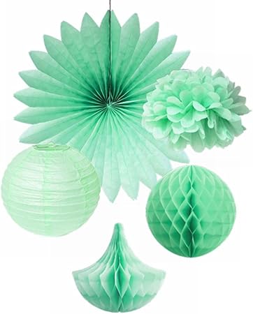 Sunbeauty Decoration Vert Menthe Chambre Enfant Rosace Papier Pompon De Soie Boule Alveole Lanterne Suspension Mariage Anniversaire Bapteme Baby Shower Deco 5 Pcs Amazon Fr Cuisine Maison