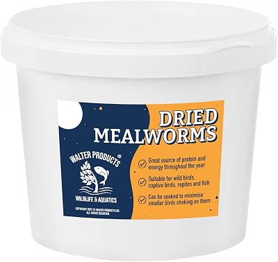 Walter’s Meal Worms 1L Tub - Dried Mealworms for Birds, Premium Protein