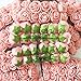 Artfen Mini Fake Rose Flower Heads 144pcs Mini Artificial Roses DIY Wedding Flowers Accessories Make Bridal Hair Clips Headbands Dress Champagne-Pink