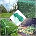 Shopping Garden 1 Green Anti Bird Mesh Garden Netting Protect Plant, g primary