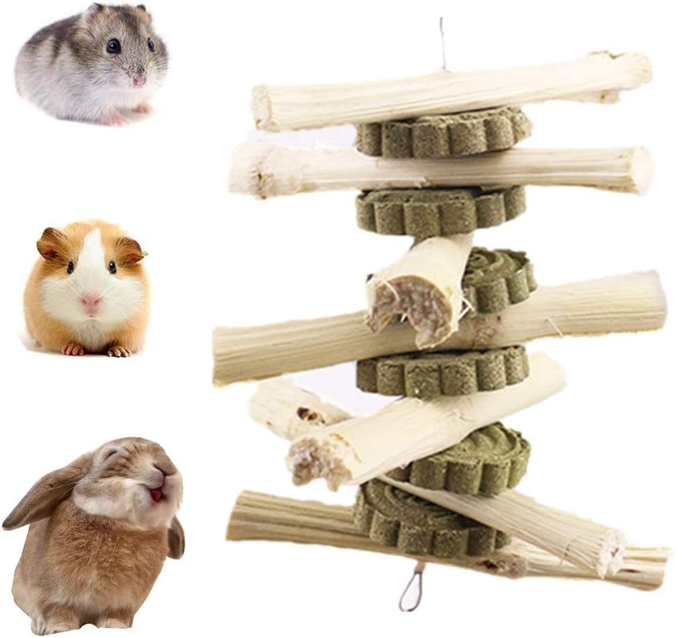 Kassbest Bunny Chew Toys for Teeth Natural Sweet Bamboo Molar Sticks