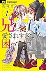 兄に愛されすぎて困ってます 第4巻