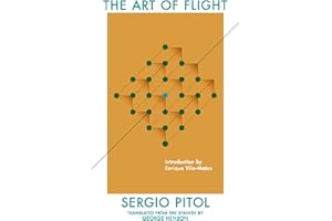 The Art of Flight