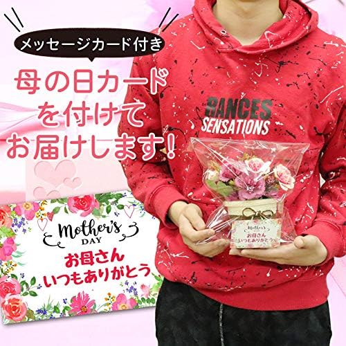 Amazon 母の日 プレゼント 実用的 ギフト 早割 誕生日プレゼント 母親 60代 50代 カーネーション 花 雑貨 カーネーション鉢 レッド 花 観葉植物 フラワーギフト オンライン通販