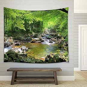 Fall Forest Stream Smolny in Russian Primorye Reserve - Fabric Wall Tapestry Home Decor - 51x60 inches