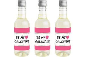 Big Dot of Happiness Be My Galentine - Mini Wine and Champagne Bottle Label Stickers - Galentine’s and Valentine’s Day Party Favor Gift for Women and Men - Set of 16