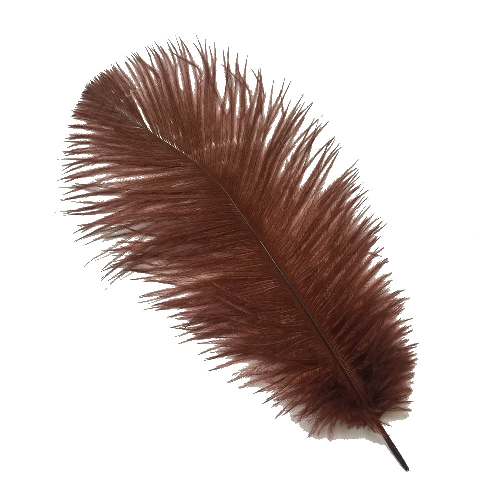 Sowder 10pcs Ostrich Feathers 12-14inch(30-35cm) for Home Wedding Decoration(brown)