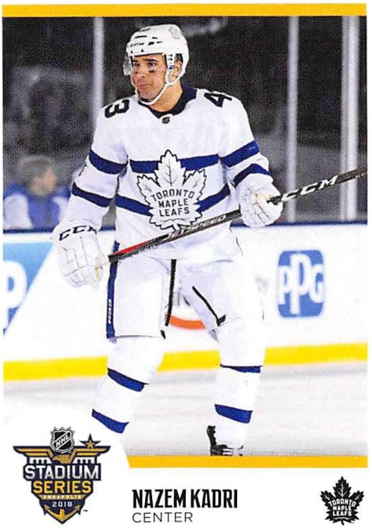 maple leafs stadium series