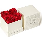Rosaura 4-Piece Eternal Preserved Roses & Flowers Gift Box - Forever Lasting Real Roses, Preserved Flowers for Valentine's Day Red