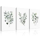 Green Botanical Wall Art Sage Plant Canvas Pictures