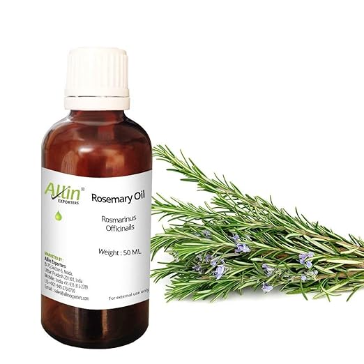 Allin Exporters Rosemary Oil 100% Pure Natural & Undiluted for Skin, Hair & Aromatherapy (50ml)
