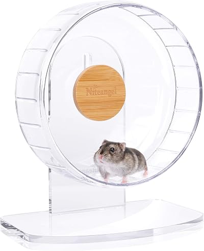 Niteangel Super Silent Hamster Wheel 8.2 Inch with Adjustable Stand Transparent