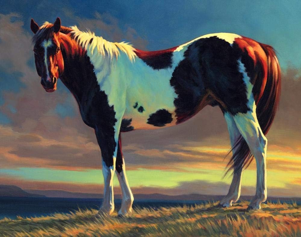 DIY Painting By Numbers Animals Horse Oil painting for Living Room