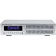 Rockville REQ42-S Silver 19" Rack Mount 2x21 Band Equalizer