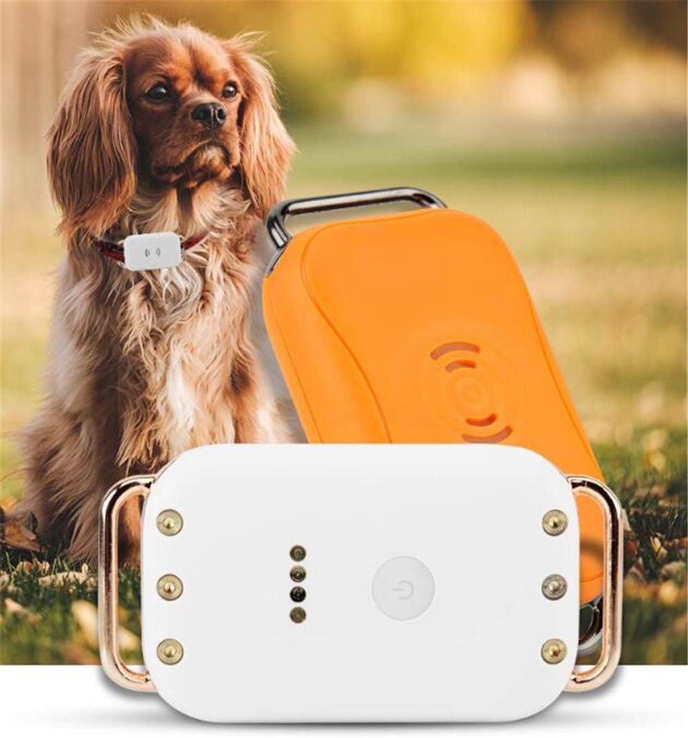 gprs for dogs