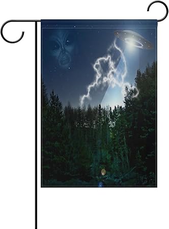 Lianchenyi Alien Untertasse Im Wald Doppelseitig Familie Flagge Polyester Outdoor Flagge Home Party Decro Garten Flagge 30 5 X 45 7 Cm Polyester Multi 28x40 In Amazon De Garten