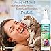 Vet Recommended - Anti-Itch Oatmeal & Baking Soda Spray for Dogs. Hypoallergenic Calming of Skin. Helps Dry & Allergy Dog Skin, Insect Bites & Itchiness. Made in The USA (8oz/240ml)