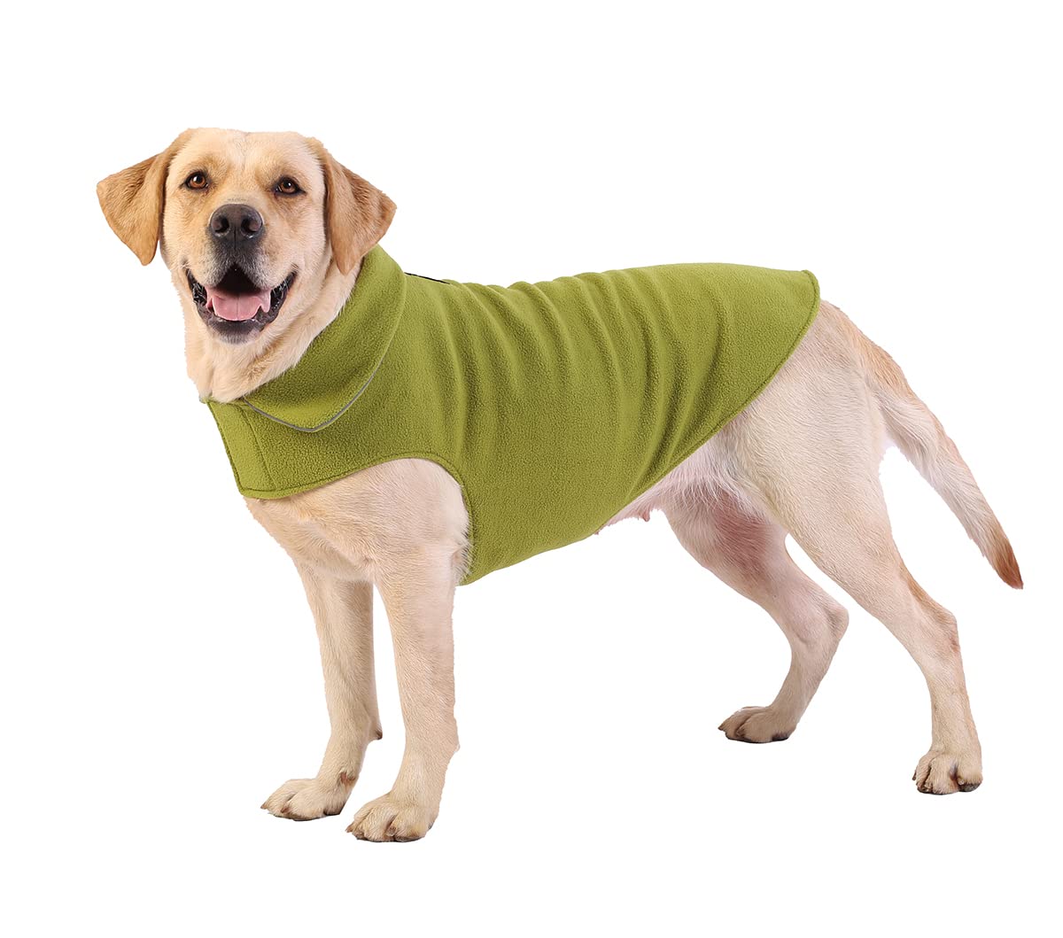 Fleece Dog Coat Pet Jacket Reflective for Cold Weather for Extra Large to Small Pets(Green,2XL)