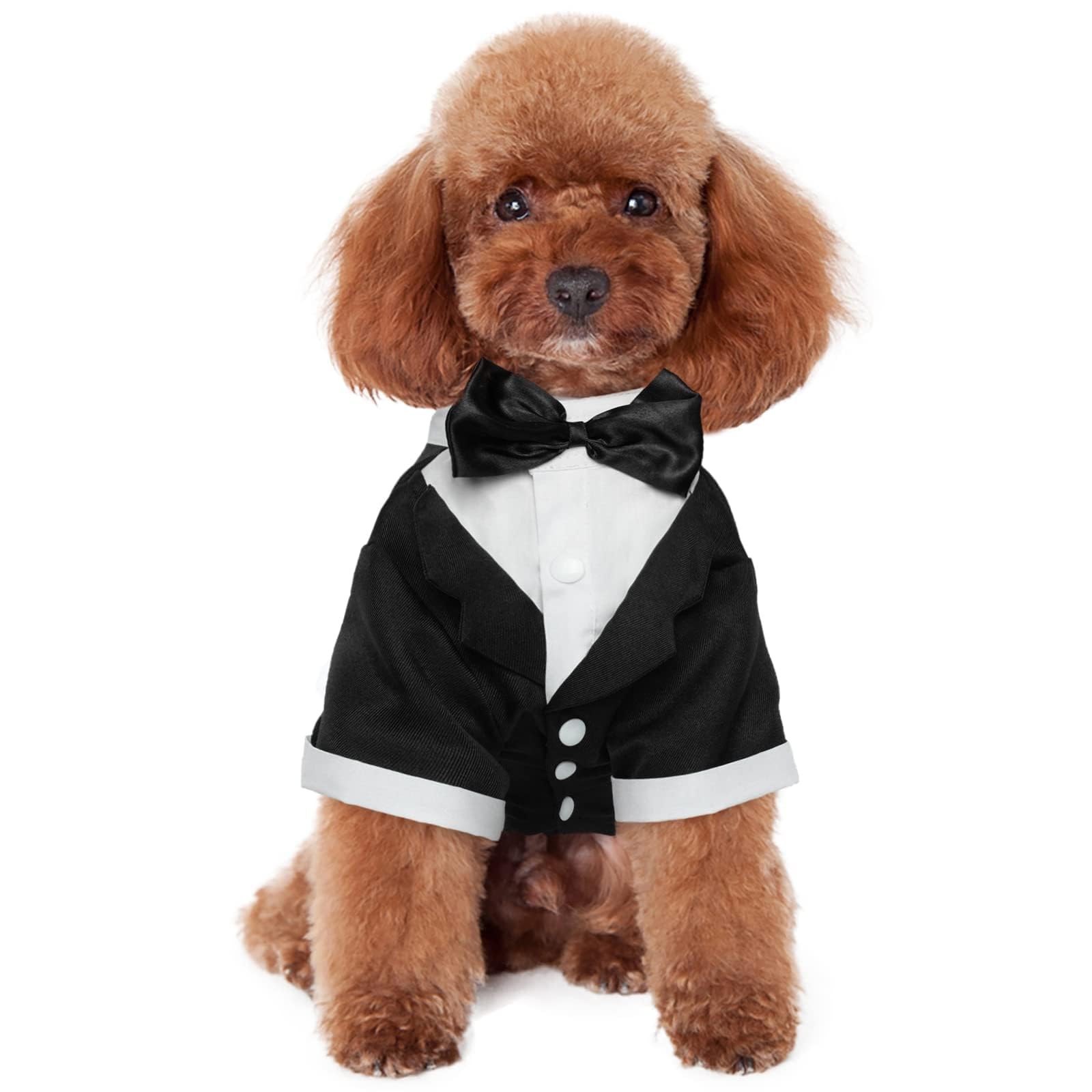 Photo 1 of Kuoser Dog Tuxedo,Dog Wedding Suit with Bow Tie Formal Dogs Tux Pet Wedding Party Birthday Costume,Doggy Valentines Christmas Halloween Graduation Outfit Cosplay for Small Medium Large Dogs,Black L