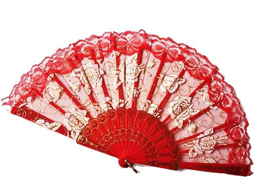 Amazon 練習用 ラメ入り 薔薇 レース 扇子 アバニコ バレエ ダンス リトモス キトリ スペイン 踊り レッスン 舞踊 赤い Meoot バレエ