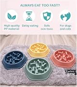 CAISHOW Slow Feeder Dog Bowl for Small Medium Dogs Non-Slip 9.25x8.85x1.96 in view 6