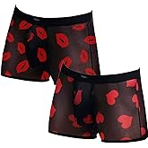 Evankin Men's Underwear Sexy Mesh Breathable Boxer Briefs Low Rise Cool Valentines Boxers Pack Set