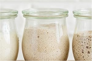 Positively Probiotic San Francisco | Sourdough Starter Culture |