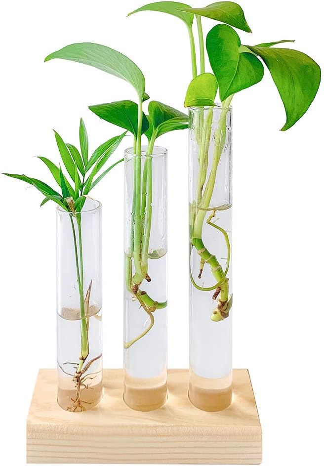 Ivolador Crystal Glass Test Tube Vase Plant Terrarium for Hydroponic Plants Home Garden Decoration (Rectangular Wooden Frame)