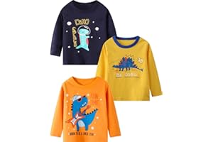 BIBNice Toddler Boy Long Sleeve Shirts Kids Cotton Fall Top Crewneck Clothes 2-7 Years