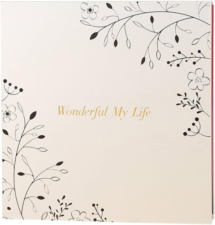 PHOTO ALBUM Magnetic Self Stick, Family Life Record, Love Journey Book, 20 Pages (40 Surface) Inside Pages photos tourism love