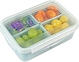 carrotez Food Storage Container with 4 Removable