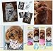 PET SHOW 10 Pack Small Dog Bandanas Boy Cotton Male Cat Puppies Bibs Washable Triangle Head Scarfs Medium Dogs Bandana Photo Prop Grooming Accessories