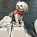 VIVAGLORY Sports Style Dog Life Vest, Dog Life Jacket for Swimming & Boating, Ripstop & Buoyancy for Puppy Doggy, Lifejacket with Handle, S, Pink