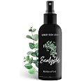 Amazon.com: 605Products - Eucalyptus Air Freshener - Room Spray for ...
