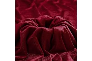 MaiMaiSuan Wine Red Velvet Fabric by The Yard,1 Yard 60" Wide Soft Stretchy Velvet Cloth for Upholstery Sofa Chair Cover,DIY Sewing,Costume,Craft,Curtain