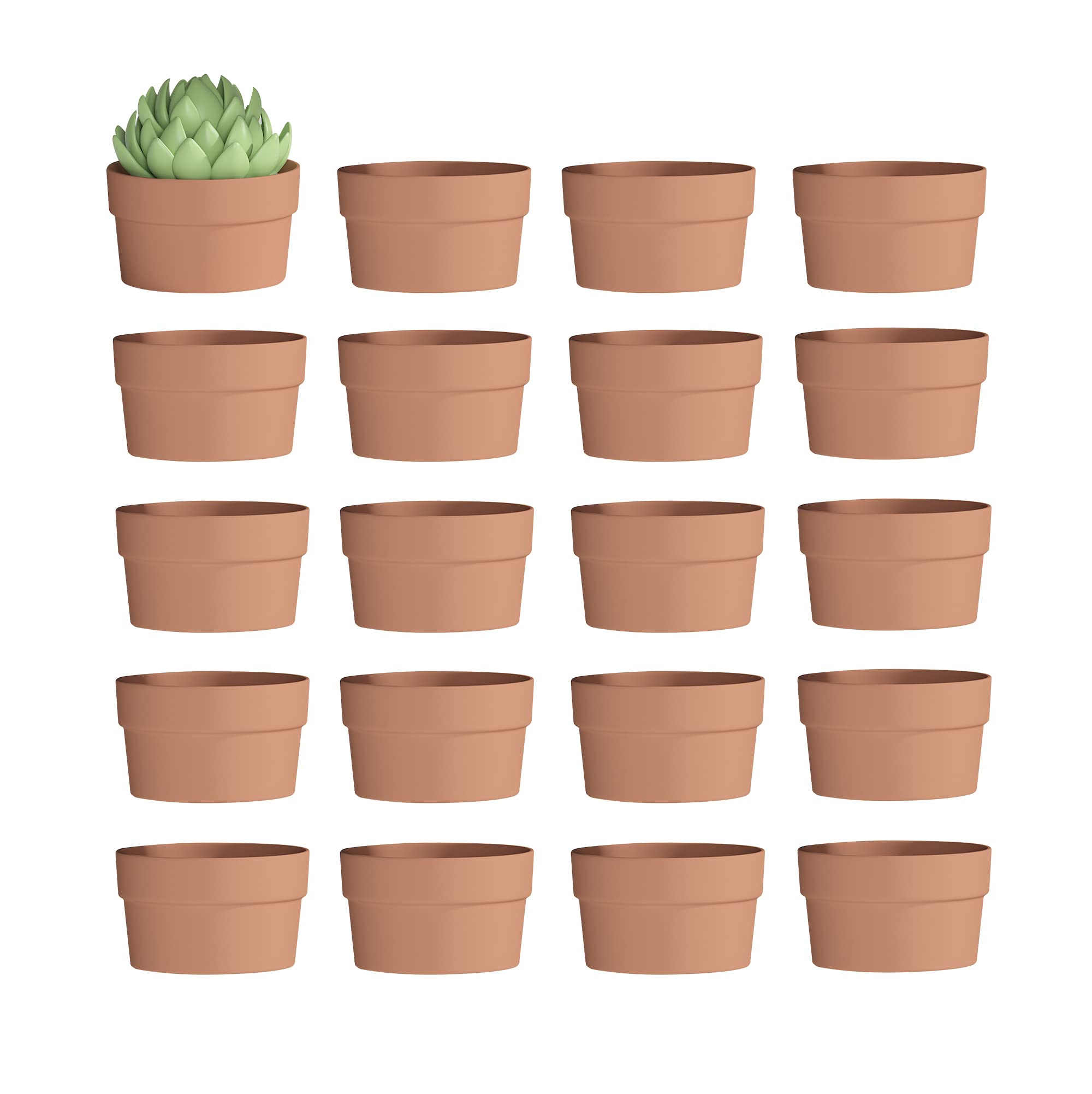 Photo 1 of Fcacti 3.5 Inch Terracotta Shallow Succulent Pot - 20 Pack Small Terra Cotta Clay Pots with Drainage, Cacuts Terra-Cotta Indoor and Outdoor Planters with Drainage Hole