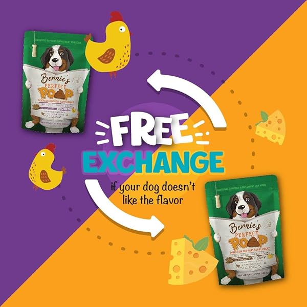 PERFECT POOP DIGESTION & GENERAL HEALTH SUPPLEMENT FOR DOGS: FIBER, PREBIOTICS, PROBIOTICS & ENZYMES RELIEVE DIGESTIVE CONDITIONS, OPTIMIZE STOOL, AND IMPROVE HEALTH (CHEDDAR CHEESE, 4.2 OZ)