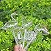 Calunce 2pcs Small Hand Blown Clear Glass Self Watering Aqua Globes (large bird)