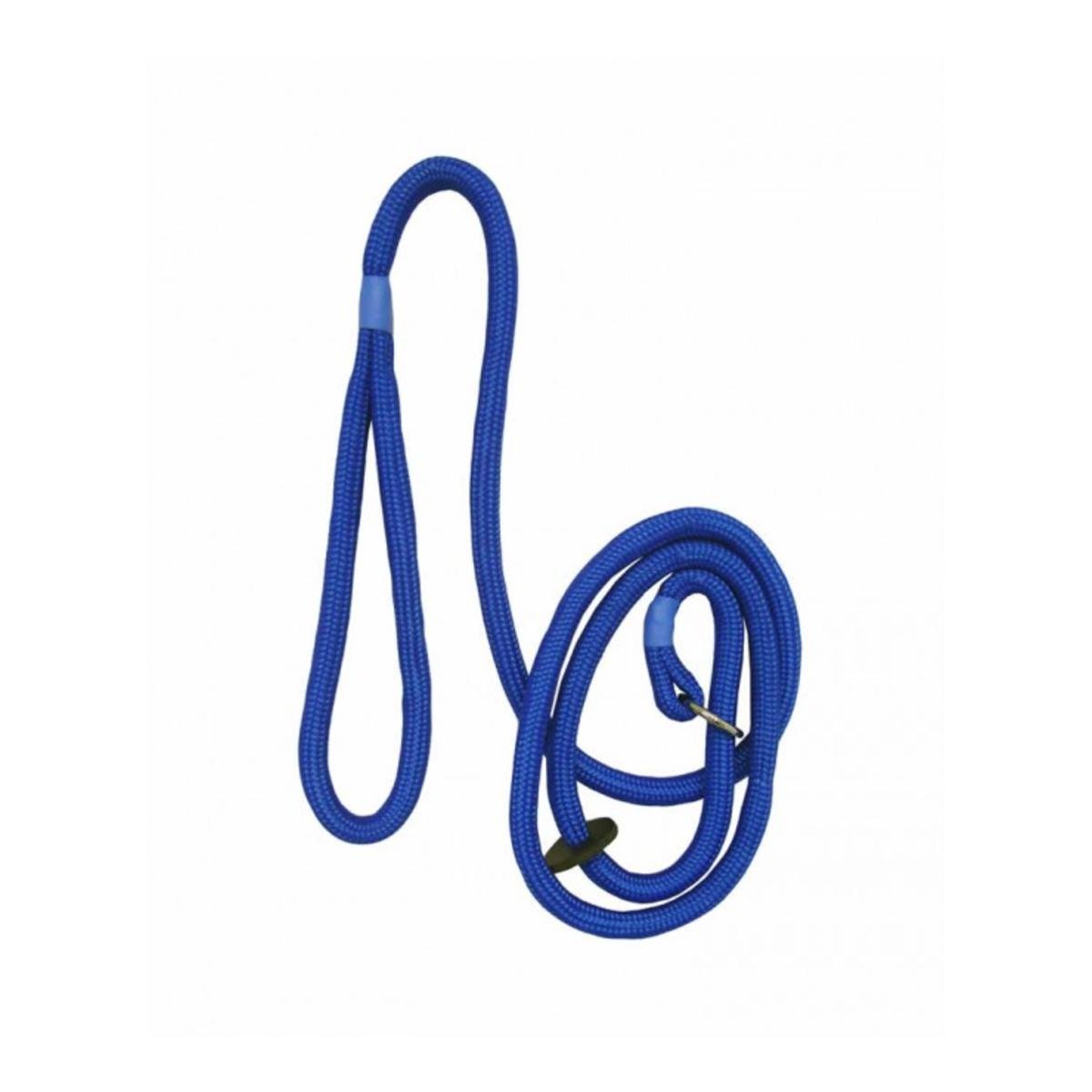 Bisley Dog Slip Leads (Blue) โ image 1