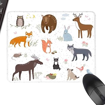 Amazon Com Hmdy88pt Cabin Decor Cute Animals In Spring Meadow