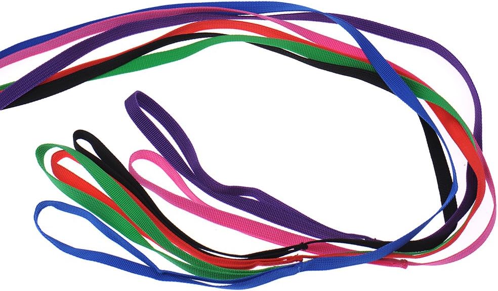 Hypeety 6 Pcs Bulk Pack Slip Leads Dog Pet Grooming Kennel Animal Control Shelter Lead Leash New, 6pcs - Image 3