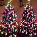 24 Count Holiday Specs Christmas 3D Glasses Turn Holiday lights into magical images includes Penguin Gingerbread Candy Cane Feliz Navidad Santa Angel Elf Reindeer Snowman Stars Snowflake and Surprise