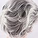 WeKen Women's Cosplay Wig Short Curly Synthetic Hair Silver Gray
