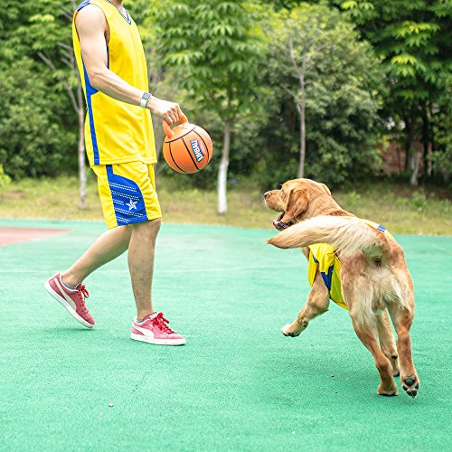 Gigwi JUMBALL Dog Tug and Dog Ball Toss Interactive Toy Dog Basketball Ball with Handle Dog Toy Diameter 8 Inches, Excercise Ball for Large Dogs But not Aggressive Chewers - Thumbnail 7
