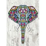 TWBB Diamond Painting Kit 5D DIY Diamond Painting Sets Diamond Painting for Adult or Kid,2019 New Special Shape Diamond (Elephant Pattern)